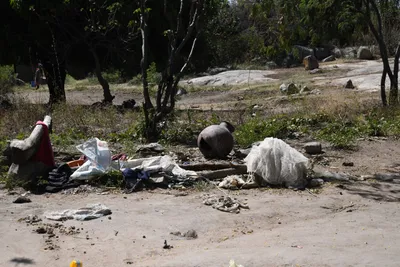 DSC_2748 (Large).JPG